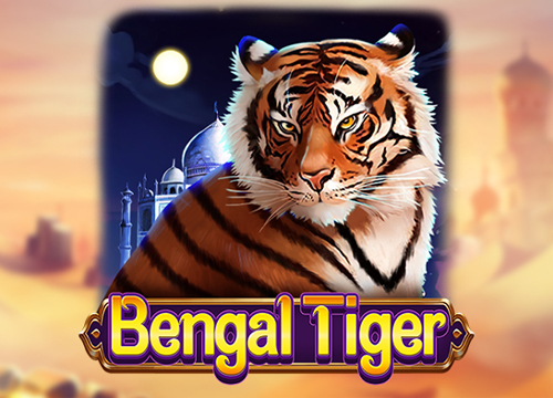 QT_DRGS_BengalTiger@2x